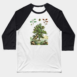 Tree and Owl Vintage Nature Illustration Baseball T-Shirt